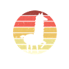 Lama Llama Alpagas