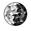 Ying Yang Koi Fish