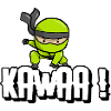 KAWAA! KAWAASAKI NINJA
