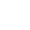 Rose fleur blanc élégant