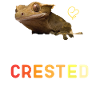 Ask Me About My Crested Gecko