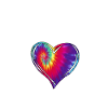 Physical Therapist Therapy