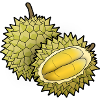 Durian - Maharlika