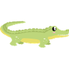 crocodile
