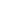 21 Number crown
