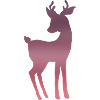 Pink Deer