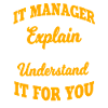 IT Manager