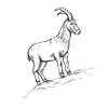 Steinbock