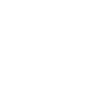Meister