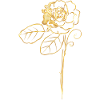 Rose in Gold