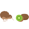Kiwi Bird Fruit Dad