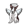 Bull terrier