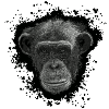 Affe Menschenaffe Schimpanse