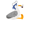 Moin Möwe Seemann