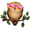Owl with summer sunglasses