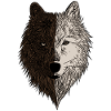 Wolf animal motif wolfsmotiv brun