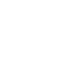 Evolution Ski