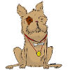 Hund