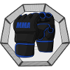 MMA Mixed Martial Arts