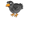 Vogel Spruch