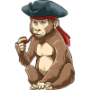 Funny Pirate Monkey Caribbean
