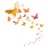 Jolies fleurs papillon