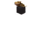 Crested Gecko Pocket Badge