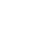 Dandelion puff flower