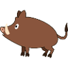 wild boar