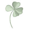 Four-leaf clover