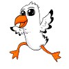 Sweet seagull