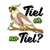 Nymphensittich Vogel Vogelhalter Vogelbesitzer