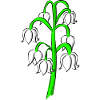 Fleuriste Floriste Fleur Muguet