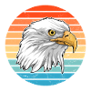 bald eagle