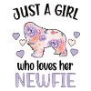 Newfoundland Girls Newfoundland Dog Mom