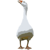 Goose gespraechig