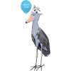 Shoebill celebrates birthday party bird