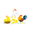 chicken