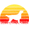 Flat Coated Retriever Sunrise