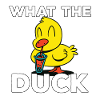 J’aime les canards canards