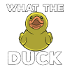 J’aime les canards canards