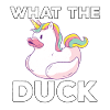 J’aime les canards canards