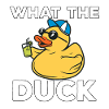 J’aime les canards canards