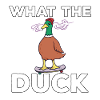 J’aime les canards canards