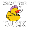 J’aime les canards canards