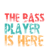Bass guitarist bassist bass player