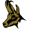 chamois wild animal
