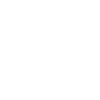 Evolution Basketball