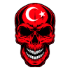 Turkey flag skull