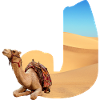 désert avec kamel j